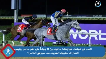 الأحد في هولندا: مواجهات حامية بين 11 جواداً على لقب كأس رئيس الإمارات للخيول العربية، من سيرفع الكأس؟